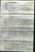 Court of Common Pleas - Mary Andrews-Original Ancestry