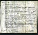 Court of Common Pleas - Jane Tomlinson-Original Ancestry