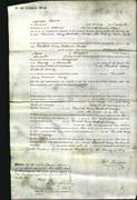 Court of Common Pleas - Elizabeth Mary Bicknell Martyn-Original Ancestry