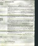 Court of Common Pleas - Emma Sawyer-Original Ancestry