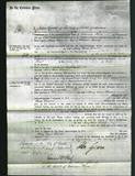 Court of Common Pleas - Mary Ann Beavis-Original Ancestry