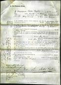 Court of Common Pleas - Mary Grimes-Original Ancestry