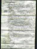 Court of Common Pleas - Hannah Matthews, Elizabeth Adams, Susan Harris-Original Ancestry