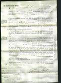 Court of Common Pleas - Anne Elizabeth Young-Original Ancestry